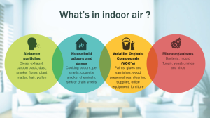 Indoor Air Quality: How It Affects Your Health and Focus