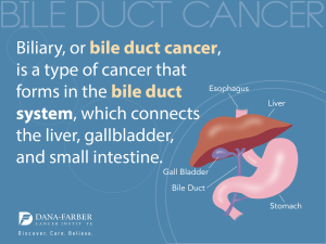 Bile Imbalance Linked to Liver Cancer: New Research Insights